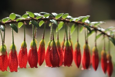 中山西区5私人快速借钱网，轻松解决资金难题