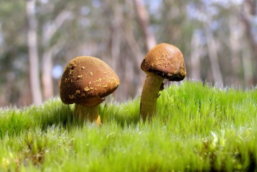 中山西区5私人老板放款：轻松融资的秘密通道